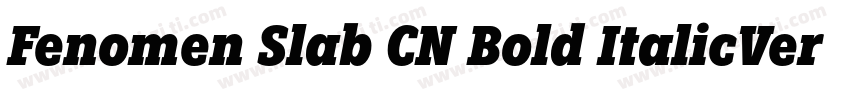 Fenomen Slab CN Bold ItalicVersion字体转换